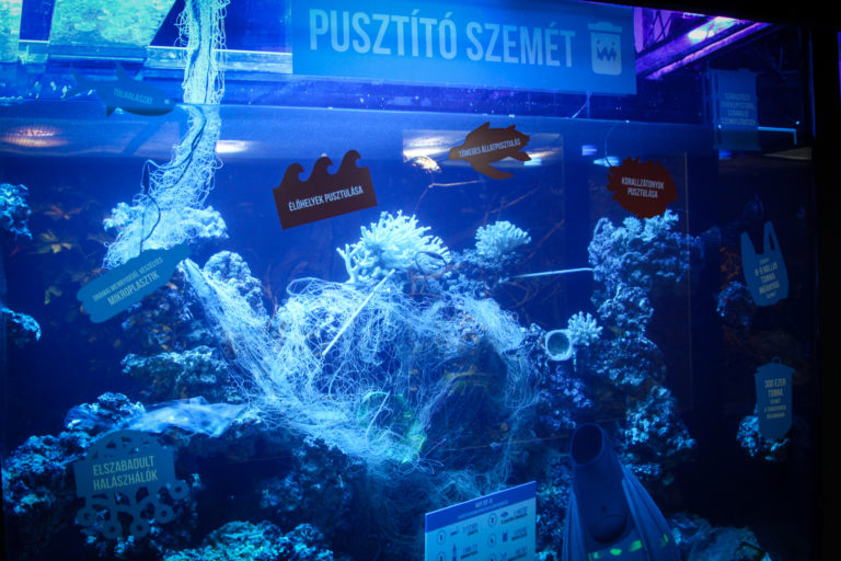 Aquarium als Mülleimer im Zoo von Pécs post's picture