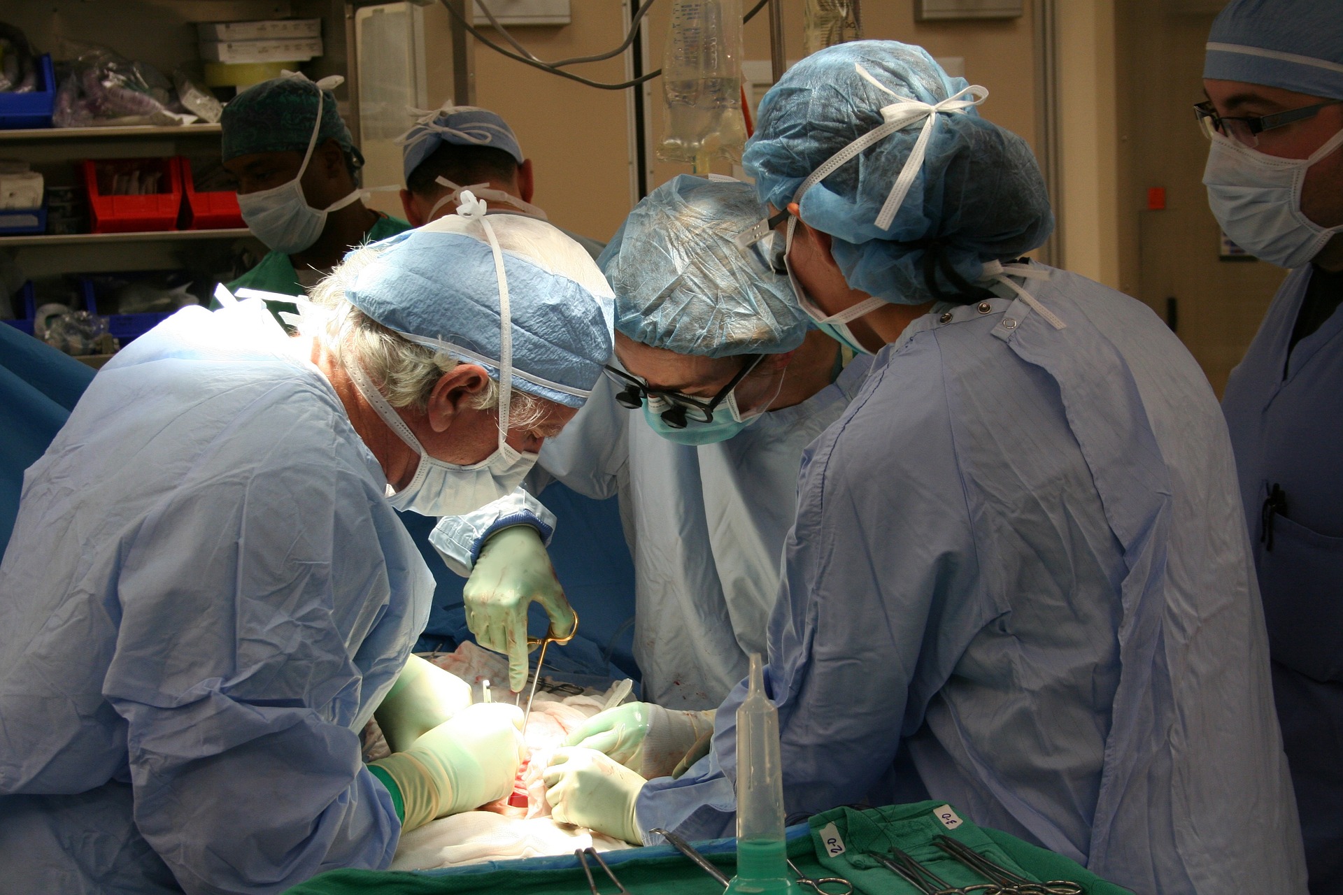 10% Mehr Organtransplantationen in Ungarn