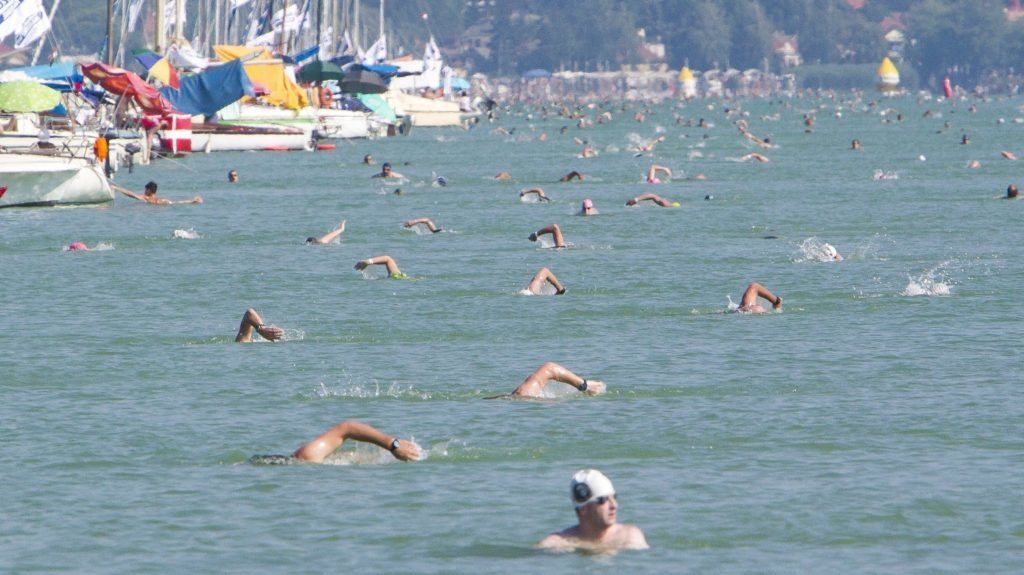 Balaton-Durchschwimmen verschoben post's picture