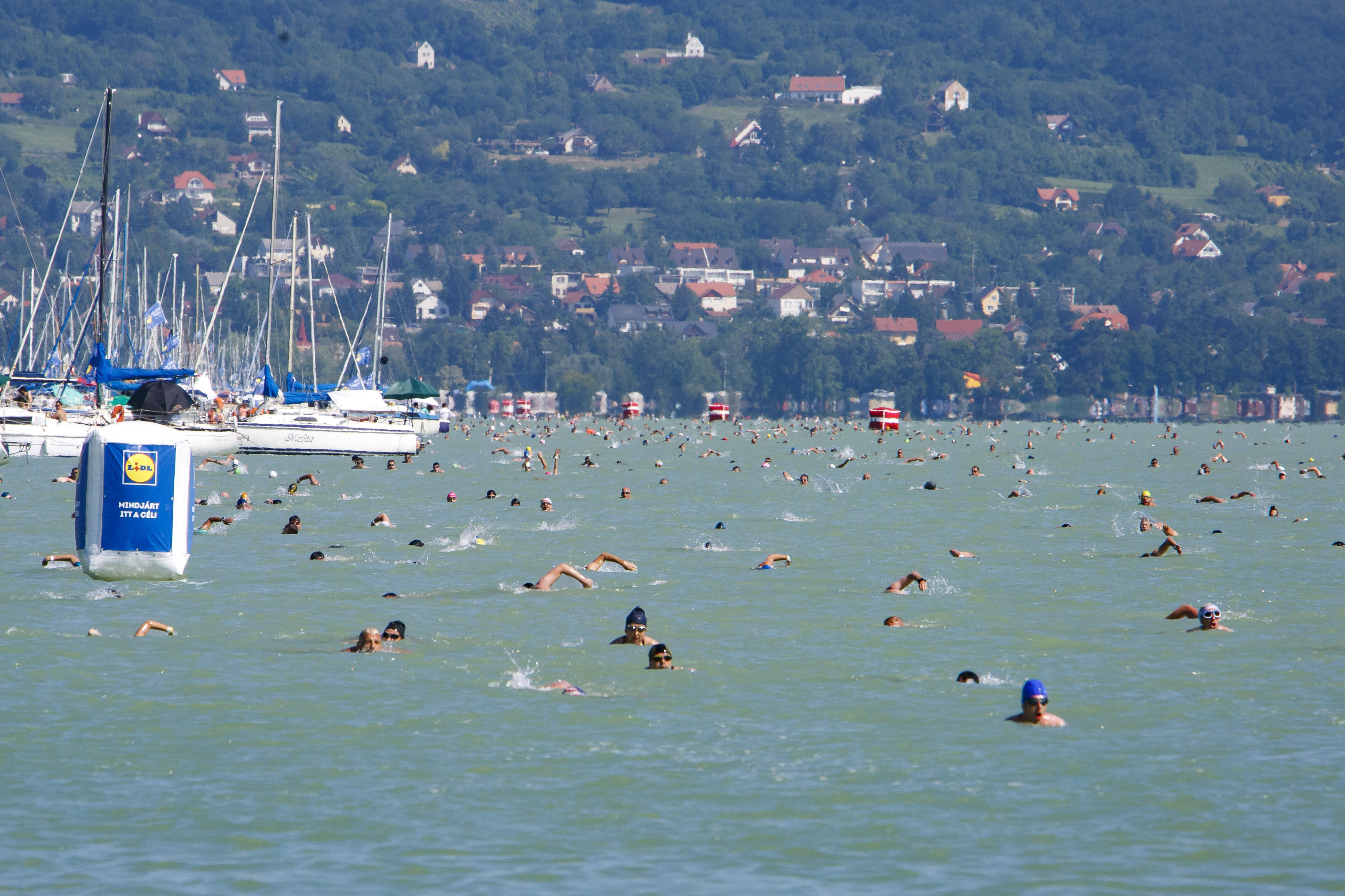 Balaton-Durchschwimmen am 1. August! - Ungarn Heute