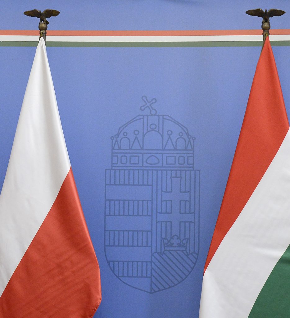 Polnisch-ungarische Wirtschaftskammer gegründet post's picture