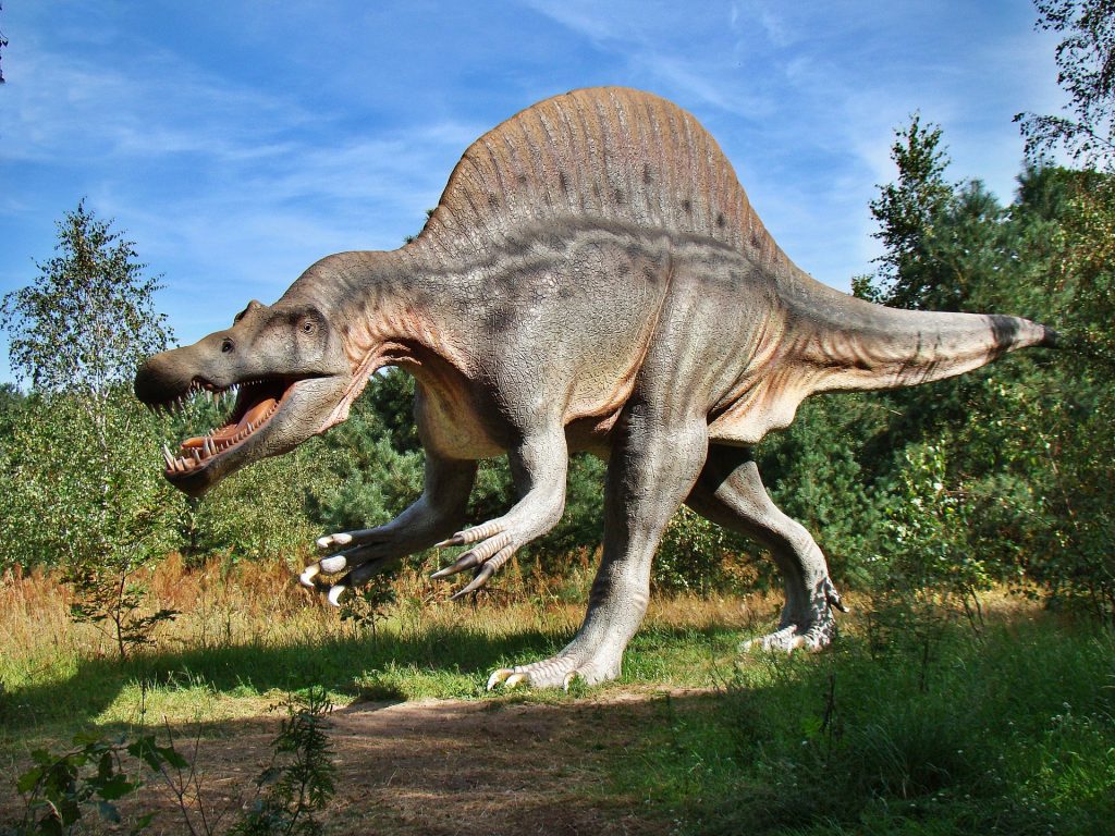 Ungarische Paläontologen erforschen Dinosaurier von Siebenbürgen post's picture