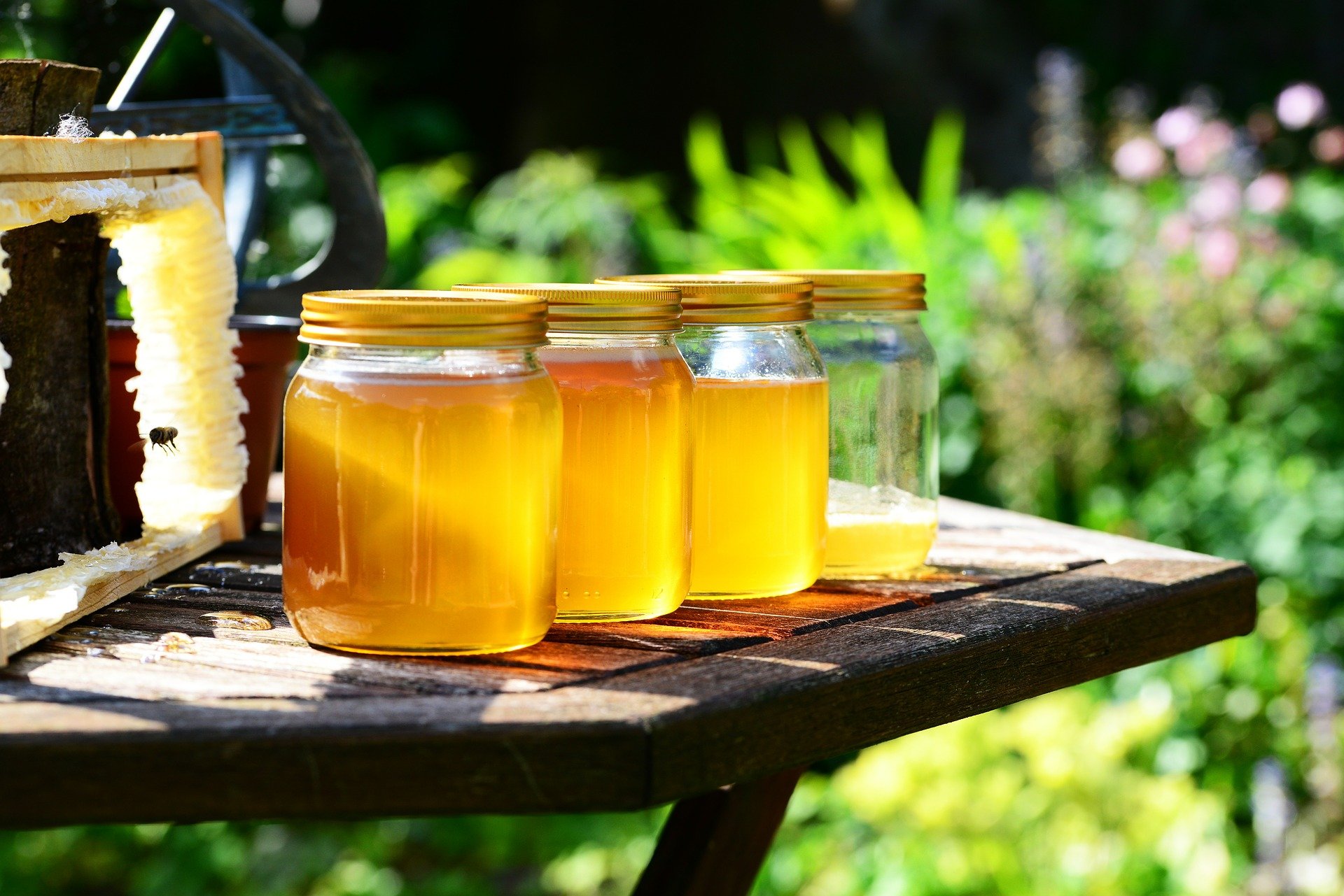 Honig in Ungarn wird teurer, Akazienhonig kann zur Mangelware werden