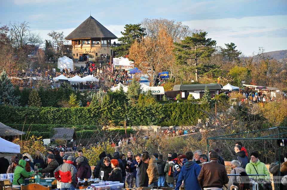 Zahlreiche Festivals warten auch im November auf die Besucher post's picture