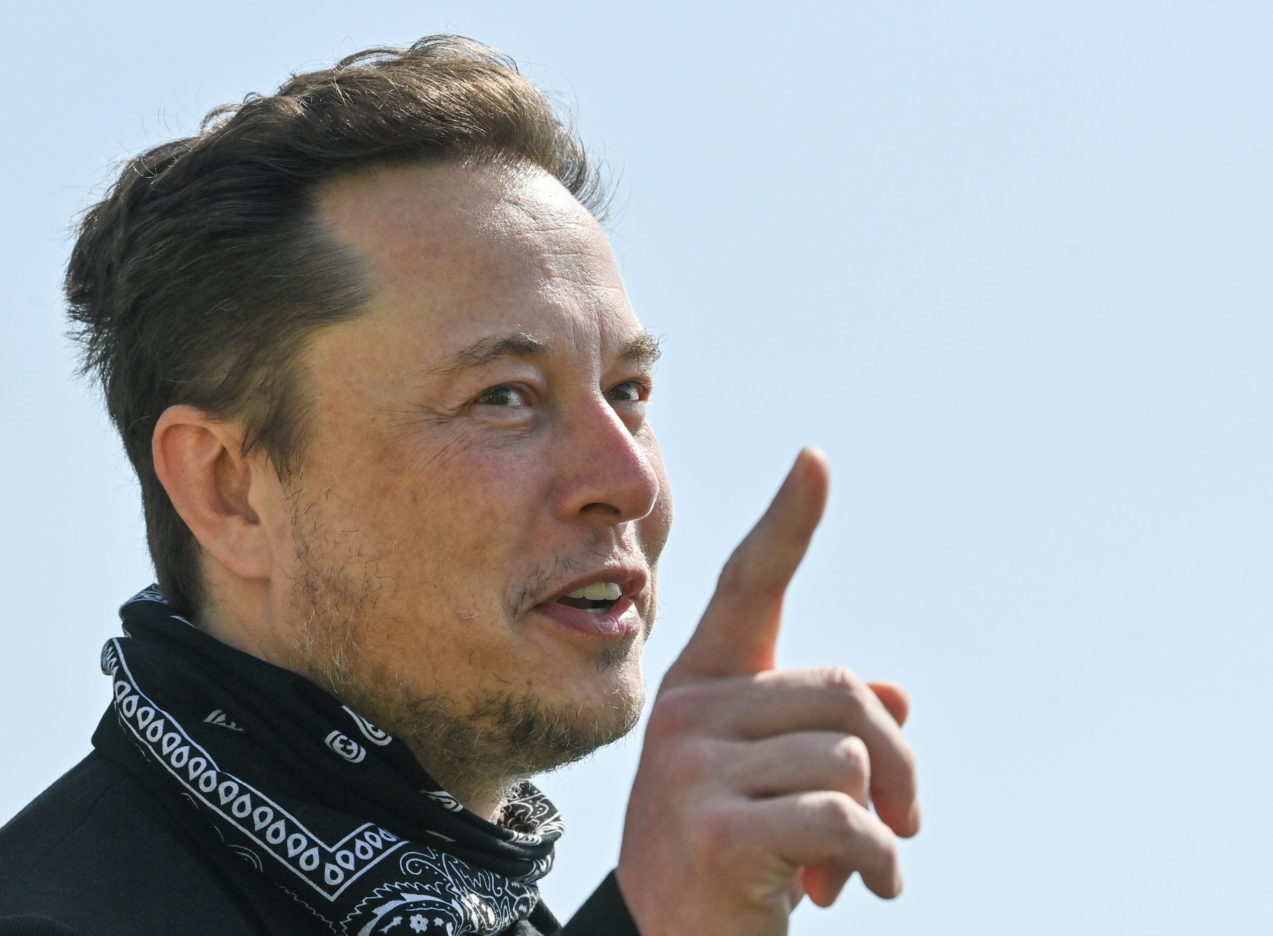 Elon Musk verspricht 6 Milliarden Dollar für Welthunger, ungarische 
