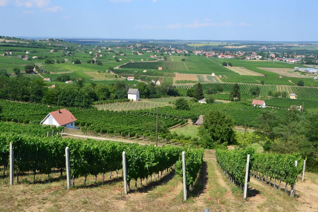 Ungarn ist zehntbeste Weintourismus-Destination post's picture