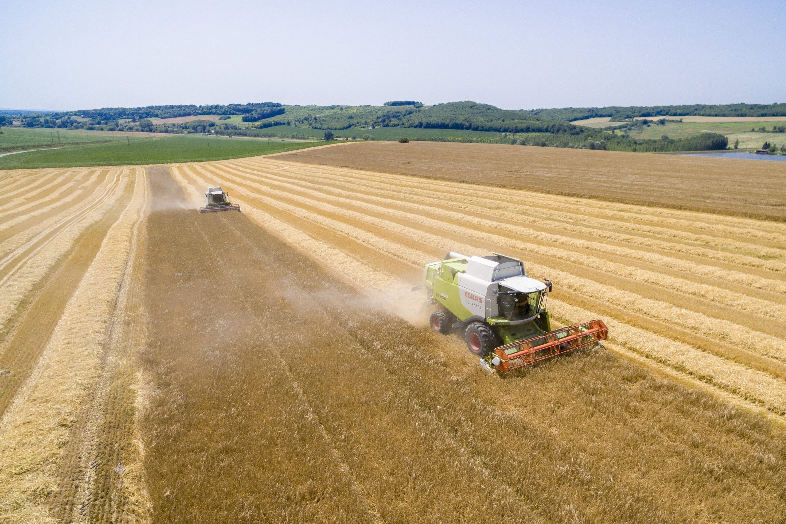 Getreideexport aus Ungarn verboten