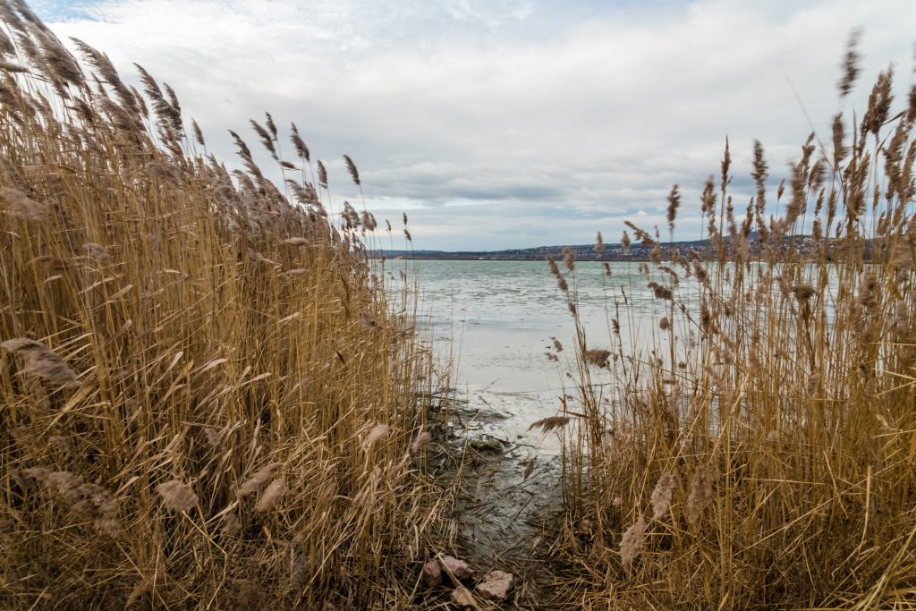 Staatspräsident fordert Regierung auf, das Problem der Wasserversorgung des Velence-Sees zu lösen post's picture