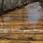 Grüne Gesetzgeber fordern Soforthandeln wegen Verschmutzung des Sajó-Flusses