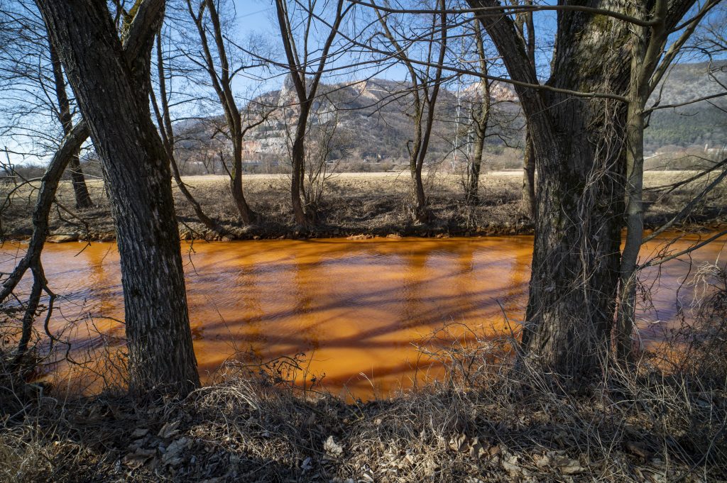 Tierpopulation des Flusses Sajó aufgrund von verschmutztem Grubenwasser gefährdet post's picture