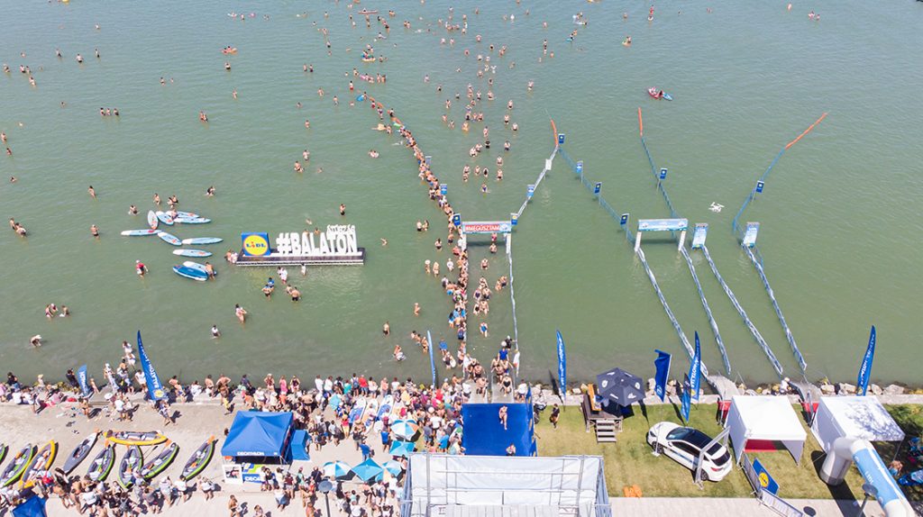 Balaton-Durchschwimmen: Voranmeldung hat begonnen post's picture