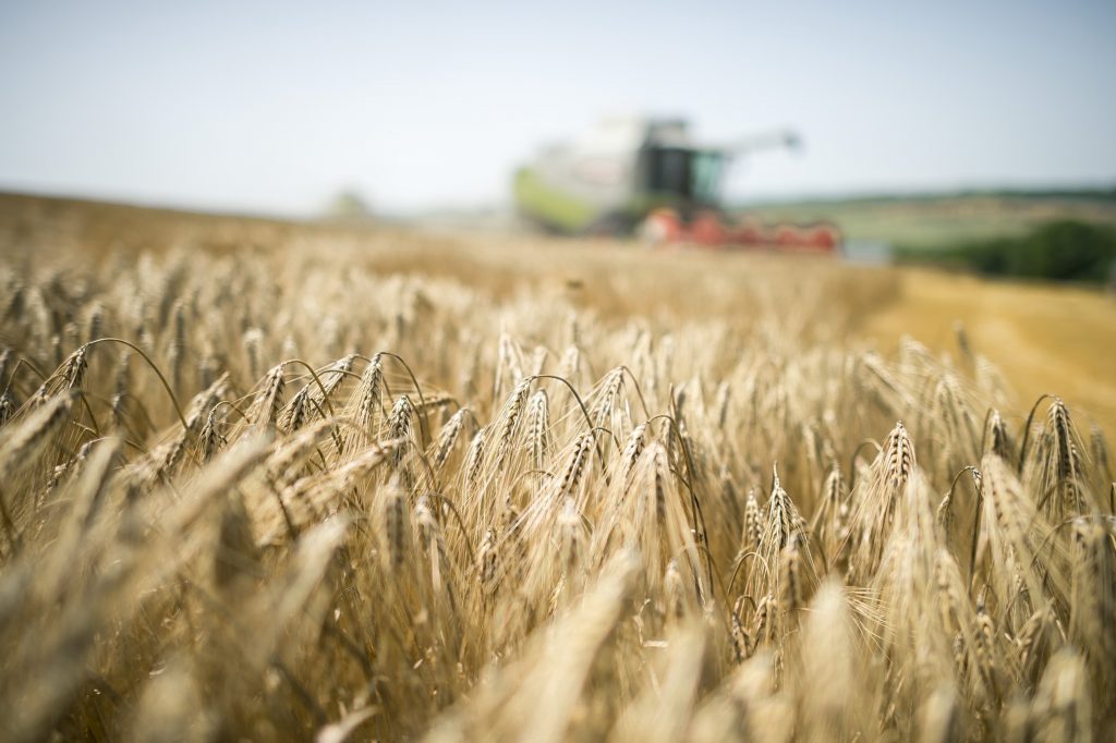 Landwirtschaftsminister István Nagy: Getreide muss über den Landweg aus der Ukraine herausgeholt werden post's picture