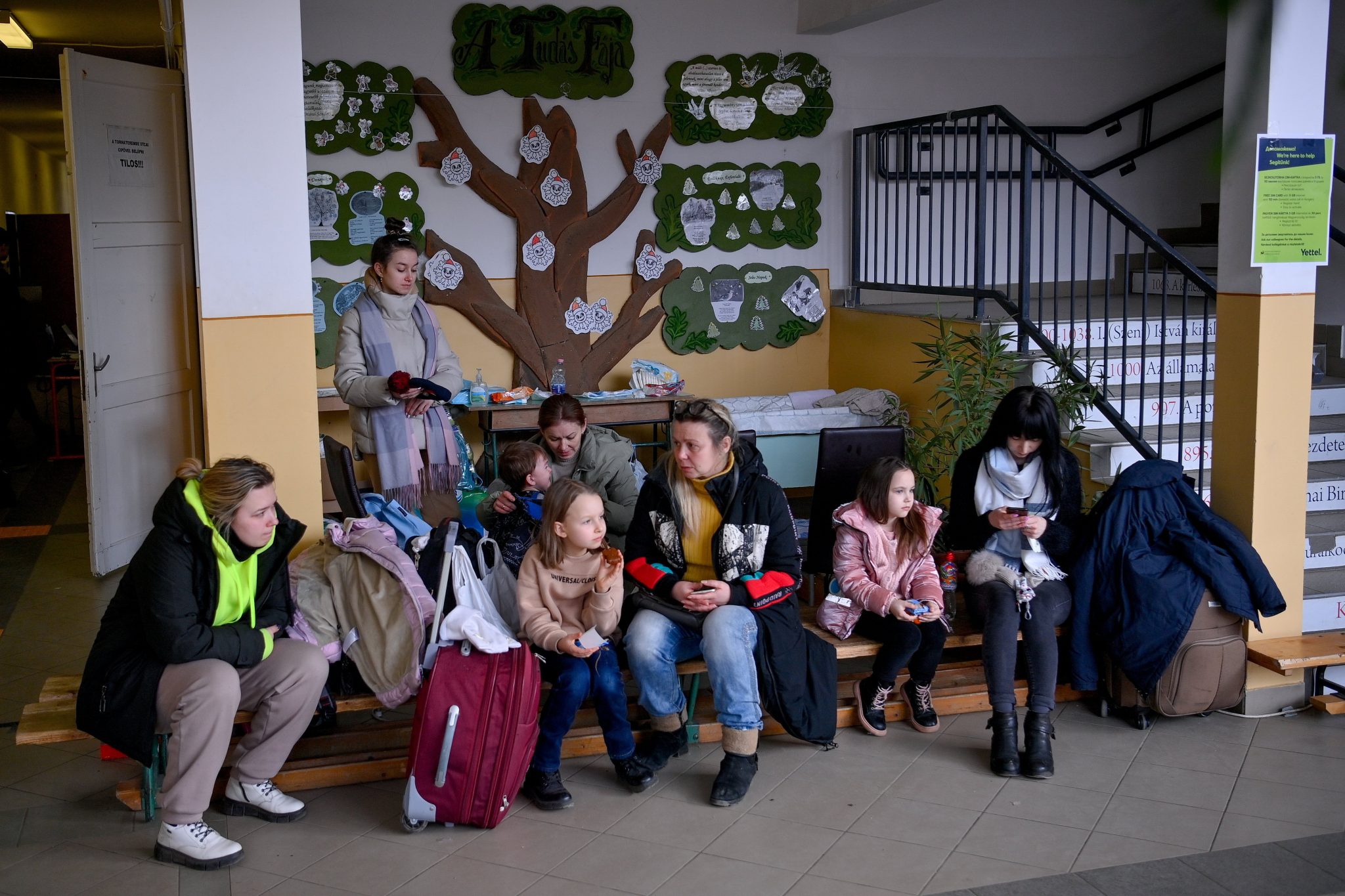 Ungarn bietet Hilfe für ukrainische Flüchtlingsschüler an
