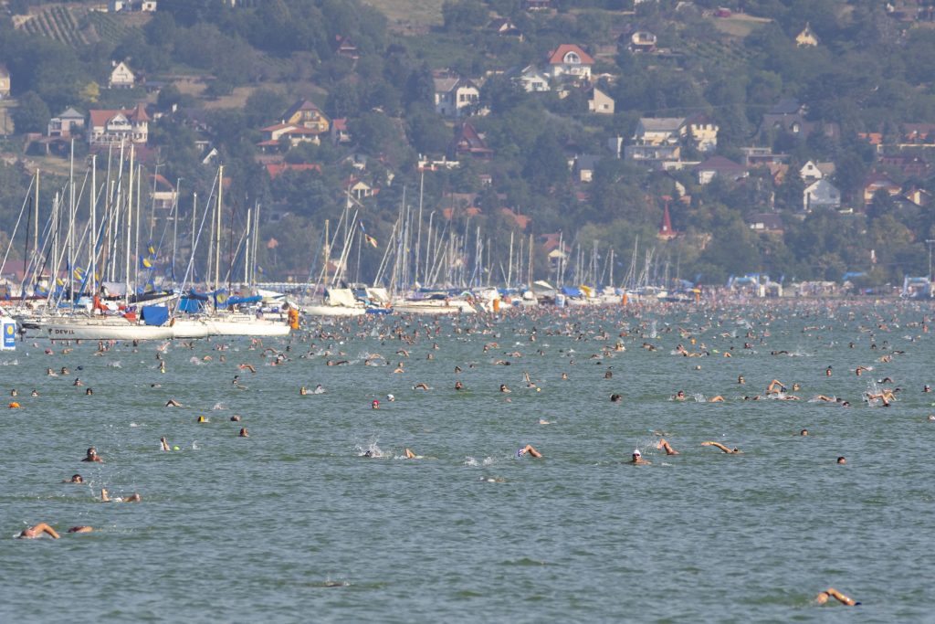 Rekordbeteiligung am Balaton-Durchschwimmen – Fotos! post's picture