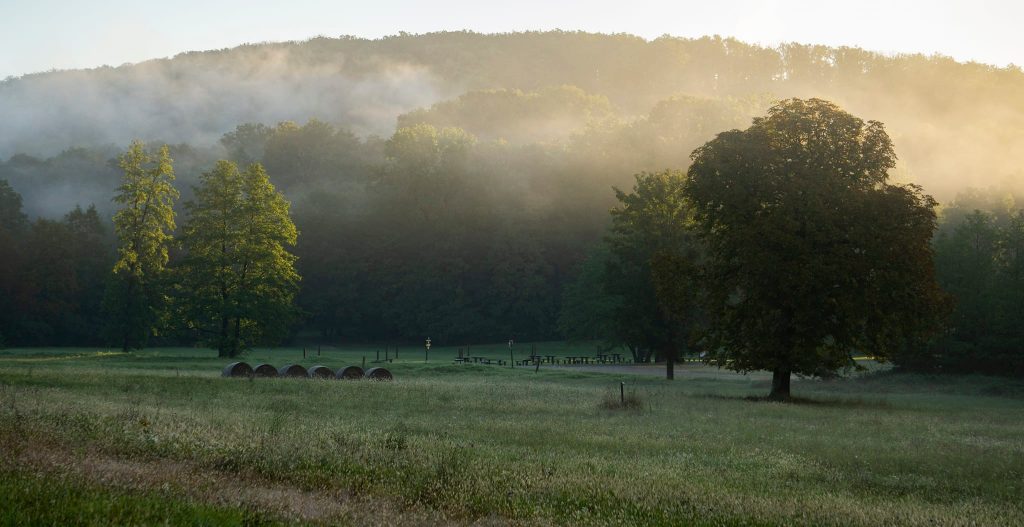 Eine liebliche Hügellandschaft in Südungarn wird noch attraktiver post's picture