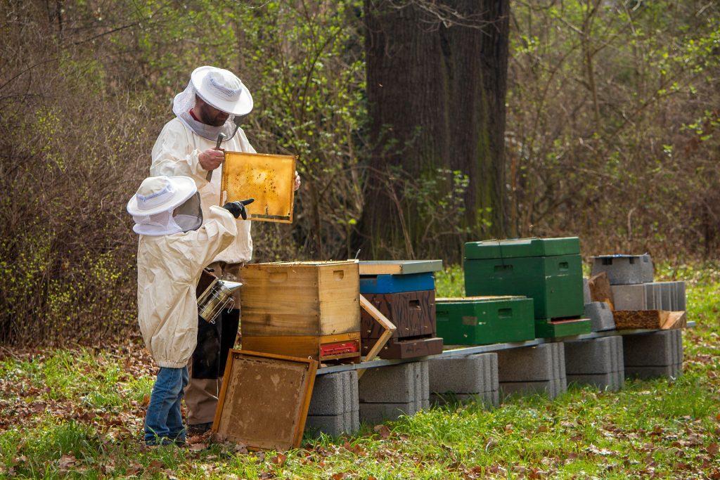 Gefälschter Honig in ungarischen Geschäften gefunden post's picture