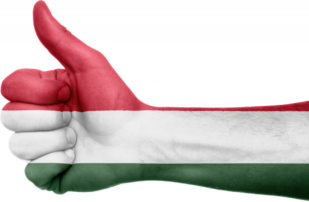 Neue Ausschreibung zur Förderung ungarischer Bildung im Ausland post's picture