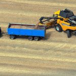 Deutlicher Rückgang der Erträge bei den fünf wichtigsten Getreidearten in Ungarn