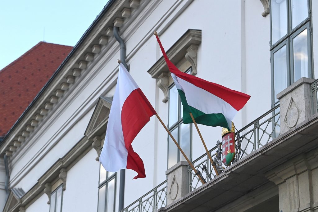 Fidesz-Europaabgeordnete: Polen und Ungarn werden nicht gleichbehandelt post's picture