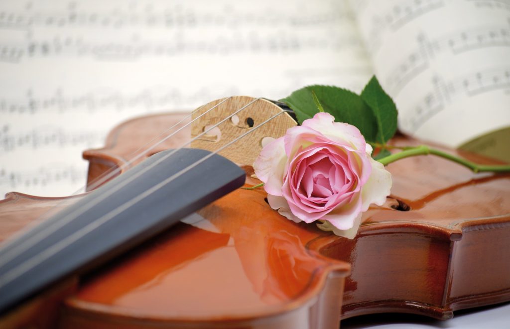 Ihre Serenade zum Valentinstag könnte von einem Kammerorchester gespielt werden post's picture