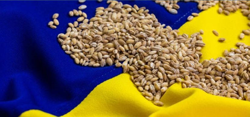 Getreide aus der Ukraine wird strengen Kontrollen unterzogen post's picture