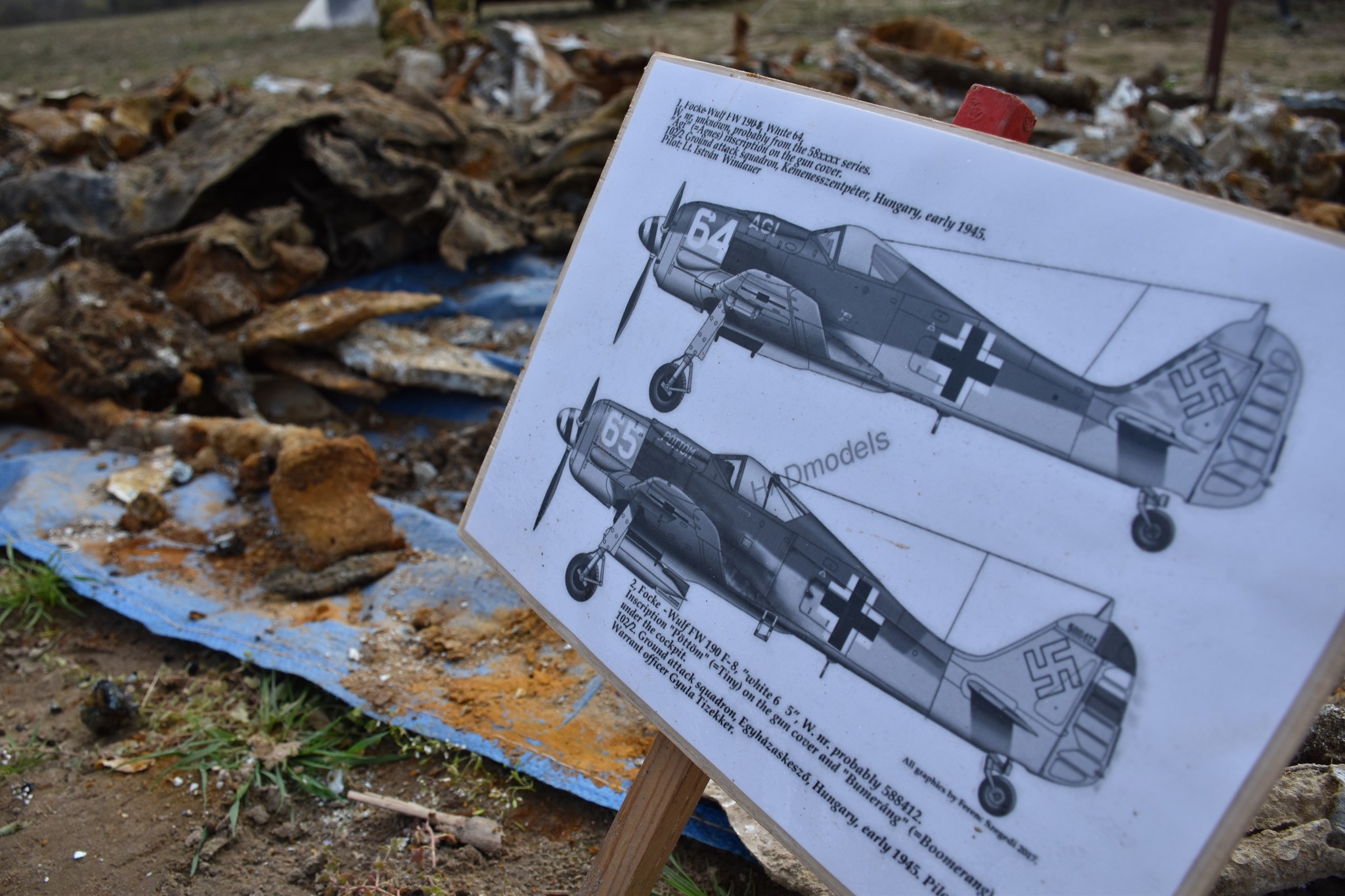 Wrack eines Focke-Wulf-Jagdflugzeugs in Ungarn gefunden