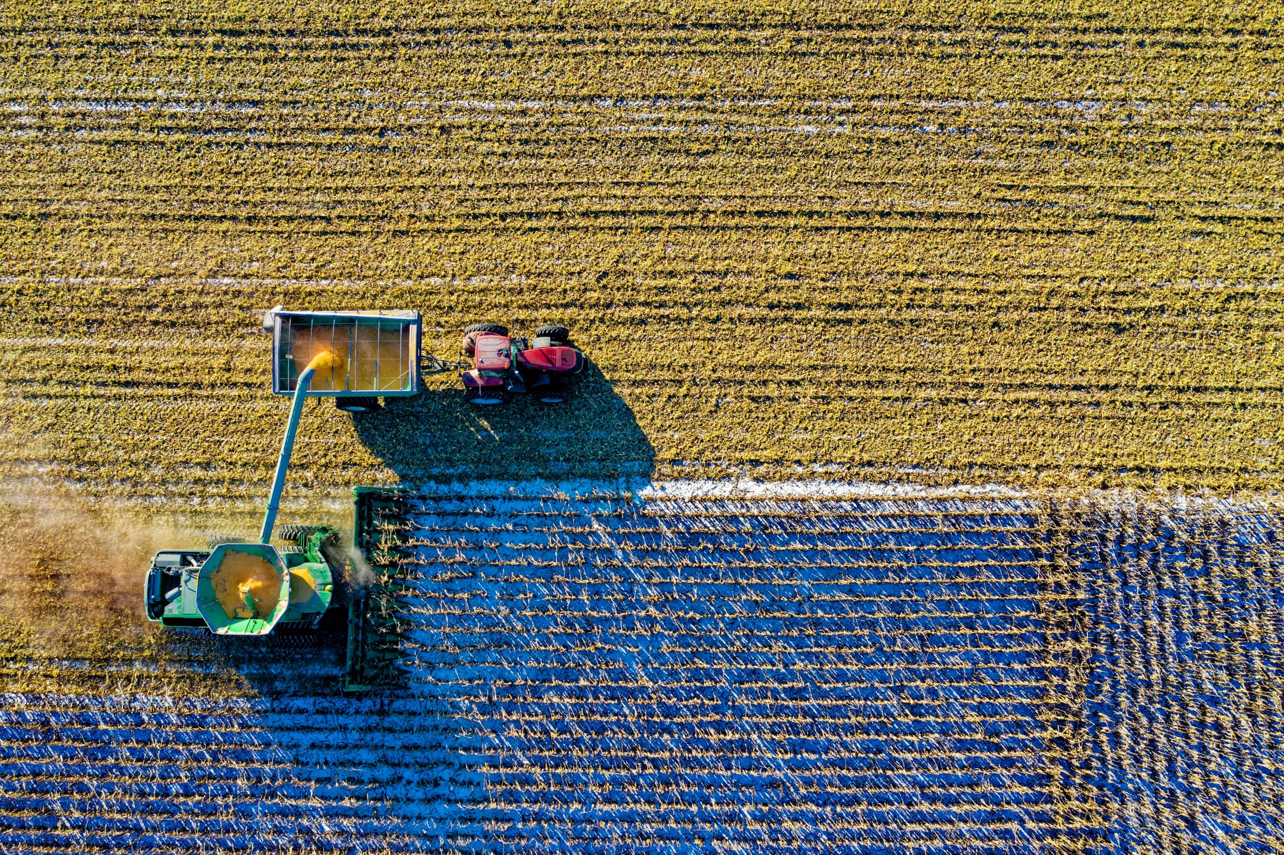 Verbot von Getreide aus der Ukraine bleibt in Kraft