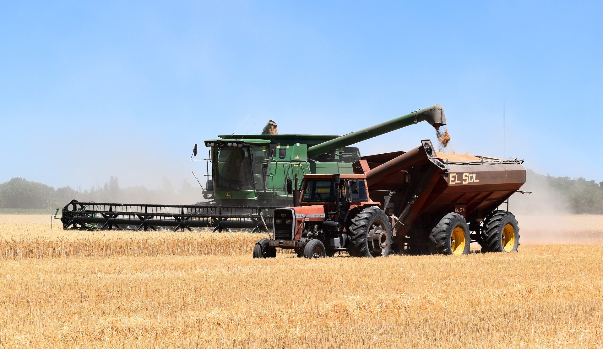 EU verlängert Beschränkungen für Getreideimporte aus der Ukraine