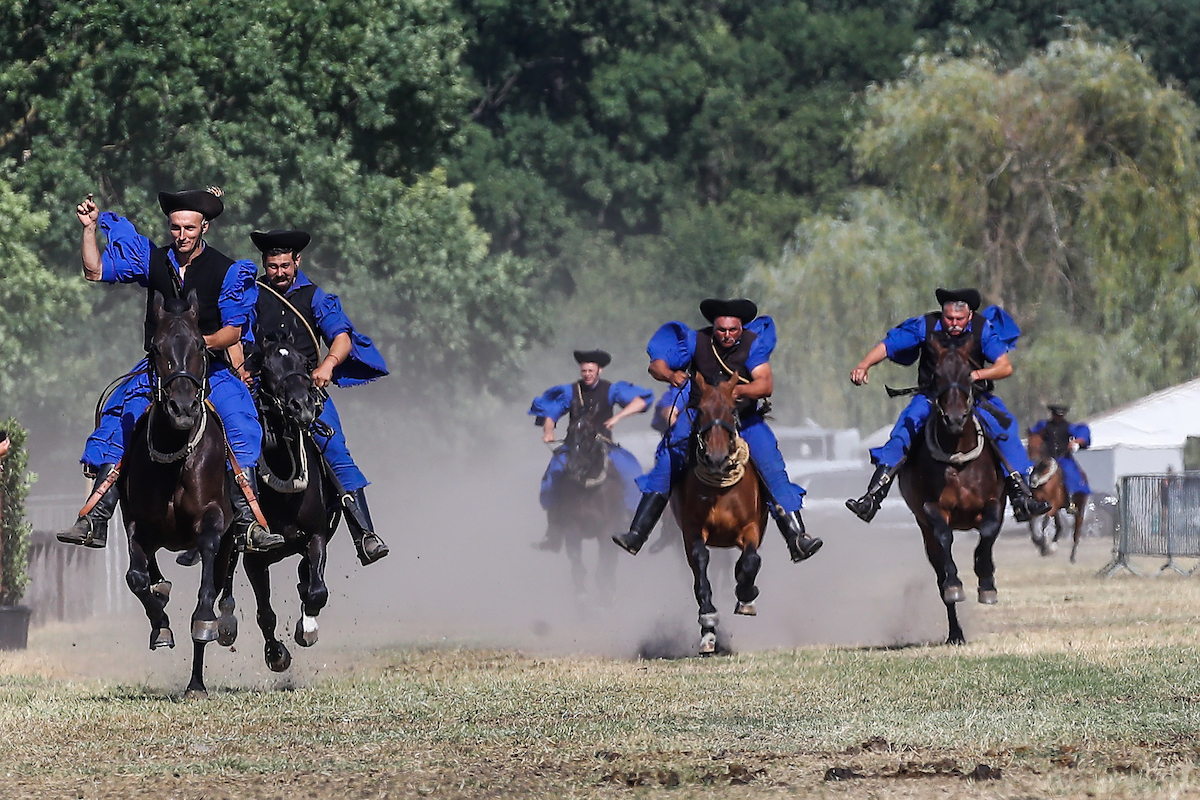 Mit den 55. Hortobágyer Pferdetagen die ungarische Reitertradition leben