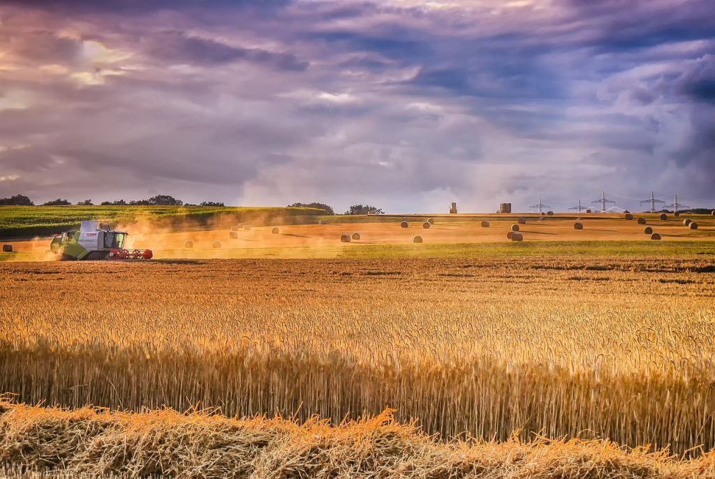 Landwirtschaftsminister: Einfuhrverbot für ukrainische Getreideprodukte sollte verlängert werden post's picture