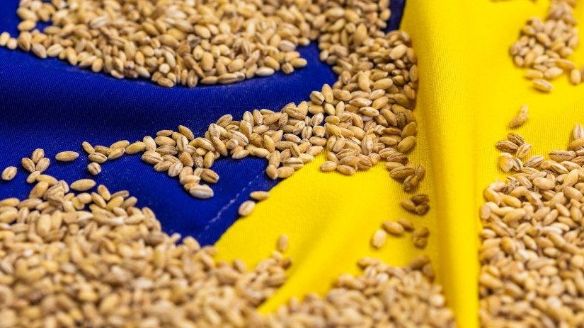 Stichtag für das EU-Importverbot für Getreide für die Nachbarn der Ukraine inakzeptabel