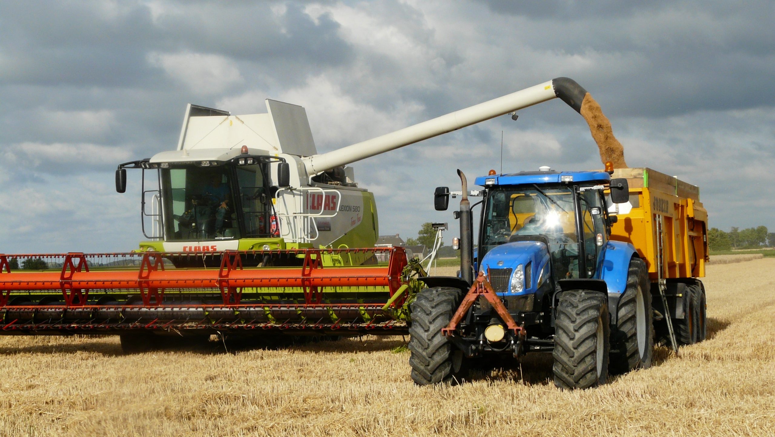 Aufruf zur europäischen Einigkeit, um ukrainisches Getreide zu retten