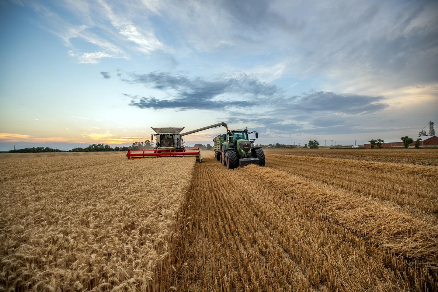 Gemeinsames Vorgehen, falls Importverbot ukrainischer Agrarprodukte nicht verlängert wird