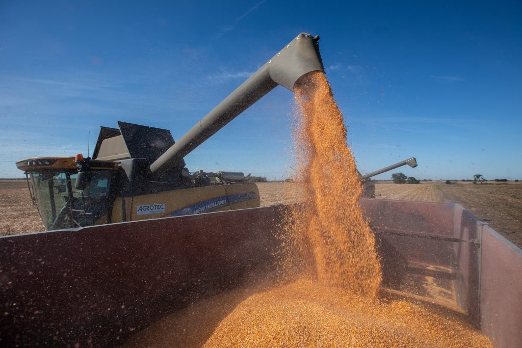 Die Nachbarländer der Ukraine bestehen auf einem Einfuhrverbot für Getreide post's picture