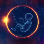 Fidesz-Europaabgeordnete gegen die „Objektivierung“ menschlicher Embryonen durch die EU