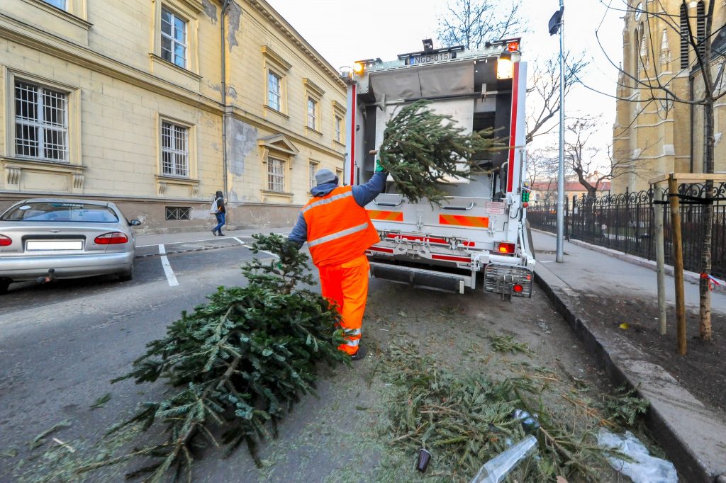Organisierte Sammlung und Verwertung von Weihnachtsbäumen in der Hauptstadt post's picture