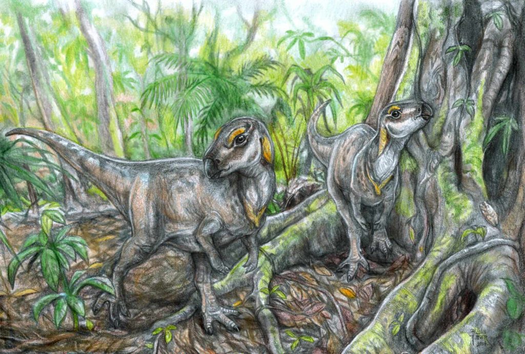 Ungarische Paläontologen gewinnen neue Erkenntnisse über Zwergdinosaurier post's picture