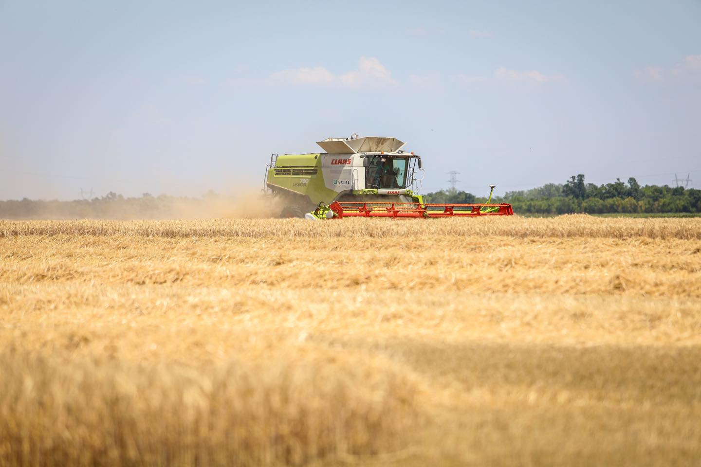 Osteuropäische Länder mit dem Problem des ukrainischen Getreides allein gelassen