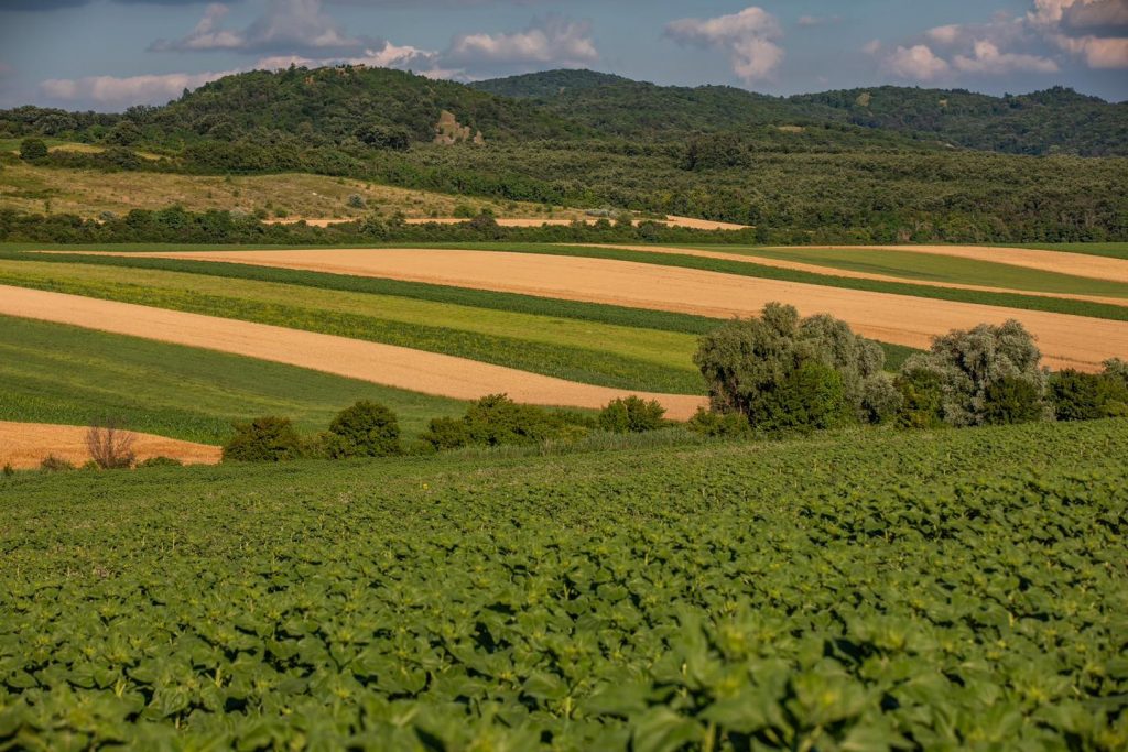 Landwirtschaftsminister: Pestizideinsatz in Ungarn liegt unter dem EU-Durchschnitt post's picture