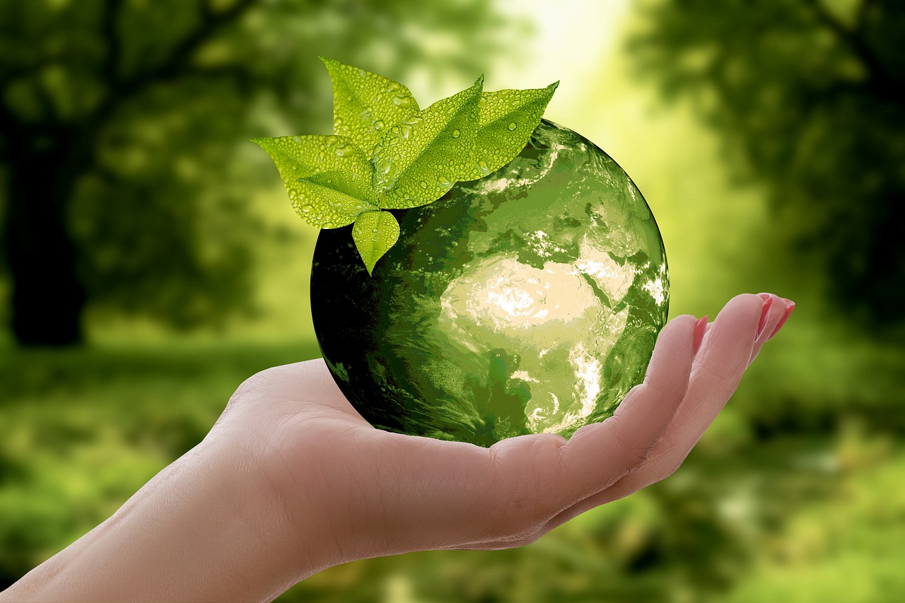 Ja zu grüner Politik, nein zu Klimafundamentalismus