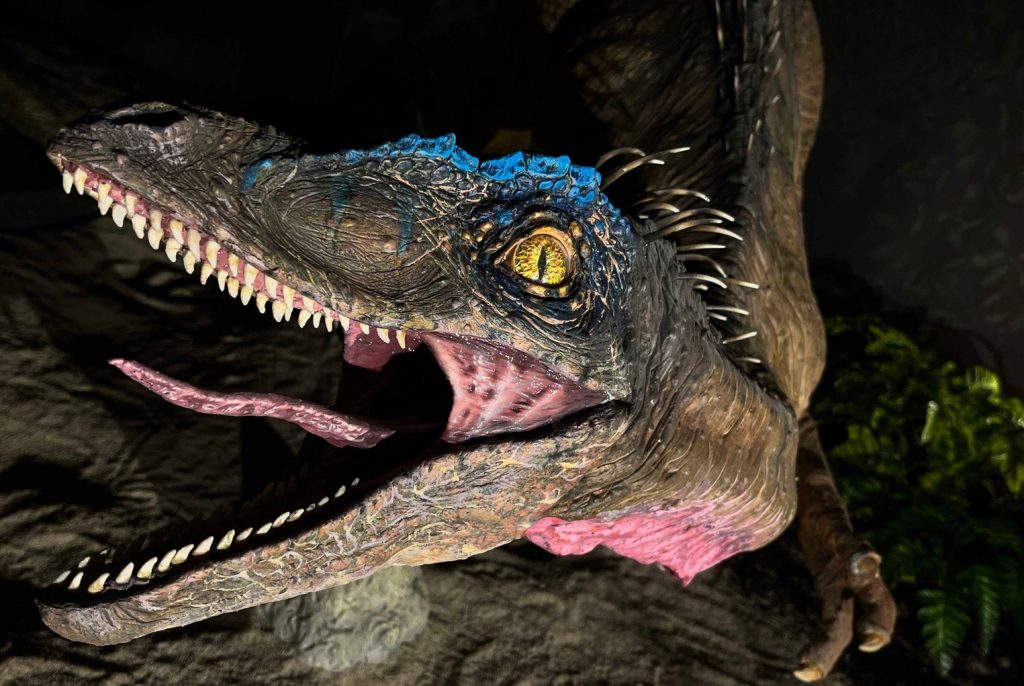 Dinosaurier-Besucherzentrum in Komló eröffnet post's picture