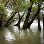 Der Hochwasserschutz an der Donau läuft auf Hochtouren