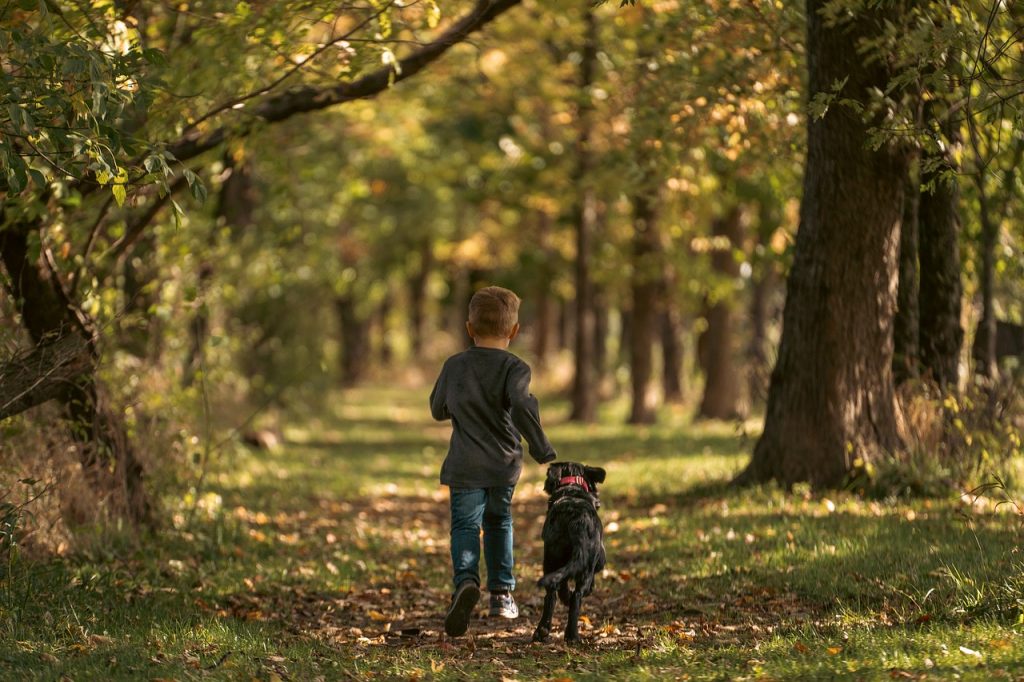 Mehr als 100 Programme zur Woche der Wälder post's picture