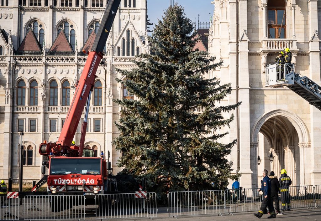 Ungarns Weihnachtsbaum nimmt seinen Platz vor dem Parlament ein post's picture