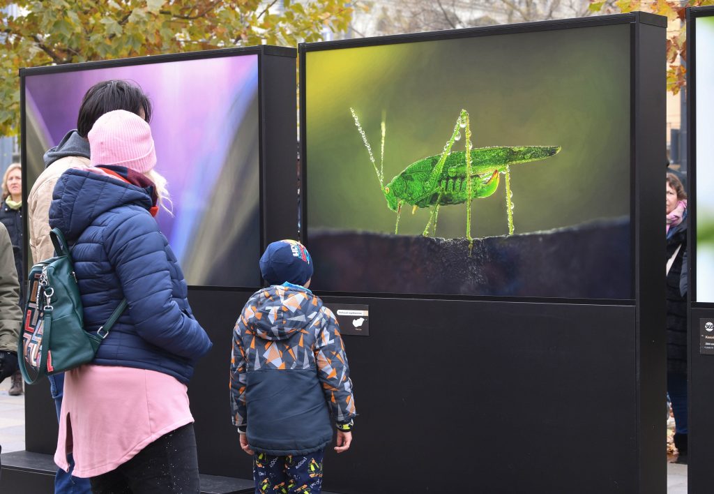 „Outdoor-Märchenbuch“ nicht nur für Kinder im Stadtwäldchen post's picture