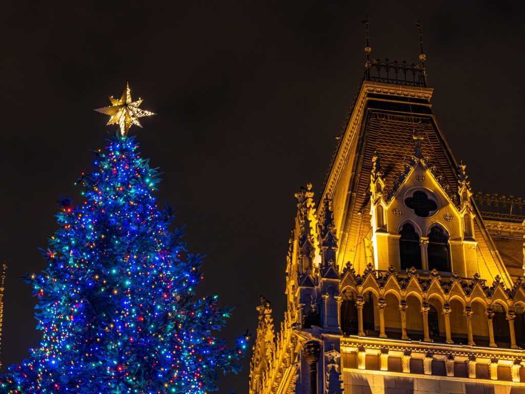 Borschoder Tanne zum Weihnachtsbaum des Landes auserkoren