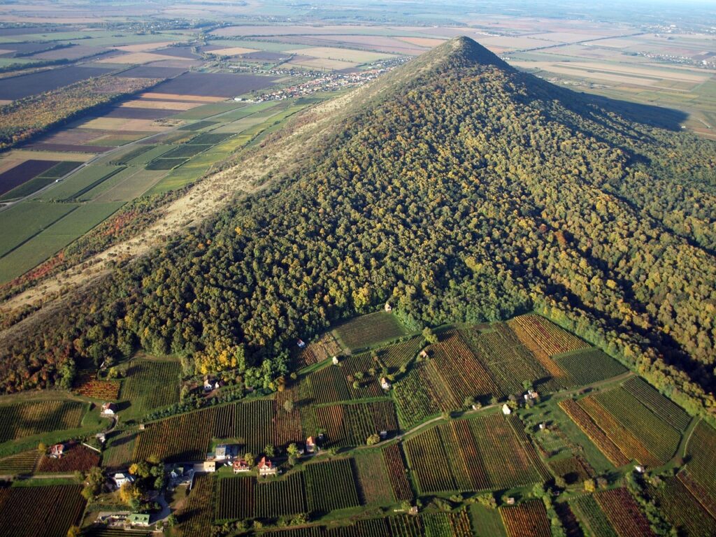 Weinregion Villány im Aufwind post's picture