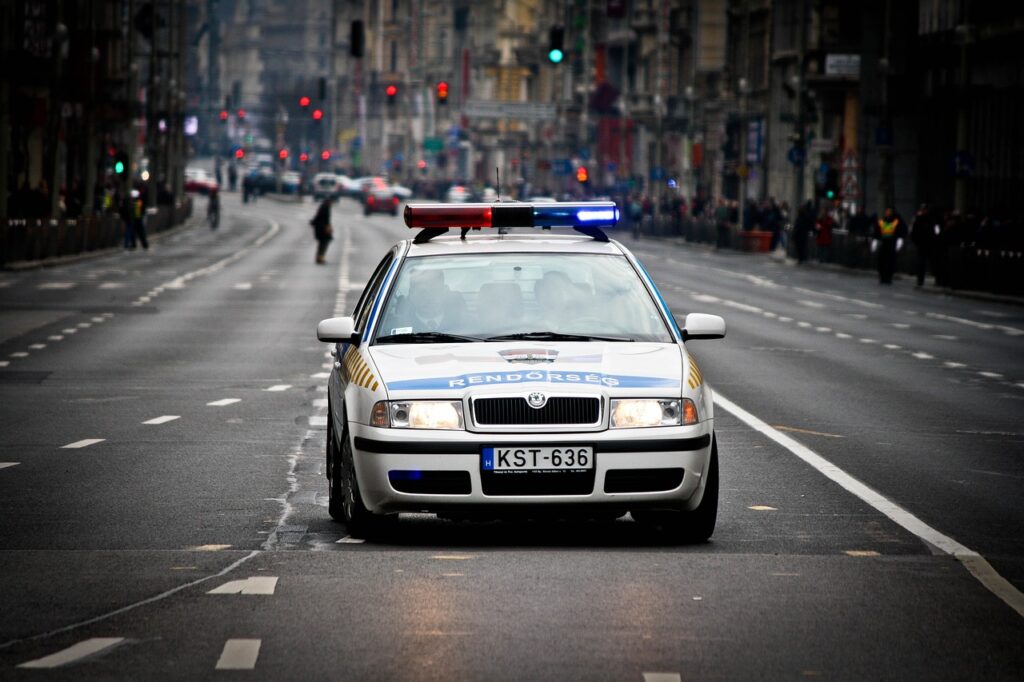 Polizei nimmt vermeintlichen Bandenchef in Budapest fest post's picture