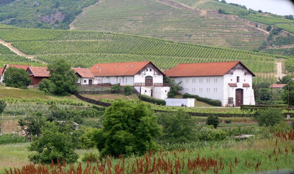 Attraktionen des Weingebiets Tokaj erwecken die Region zum Leben post's picture