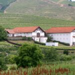 Attraktionen des Weingebiets Tokaj erwecken die Region zum Leben